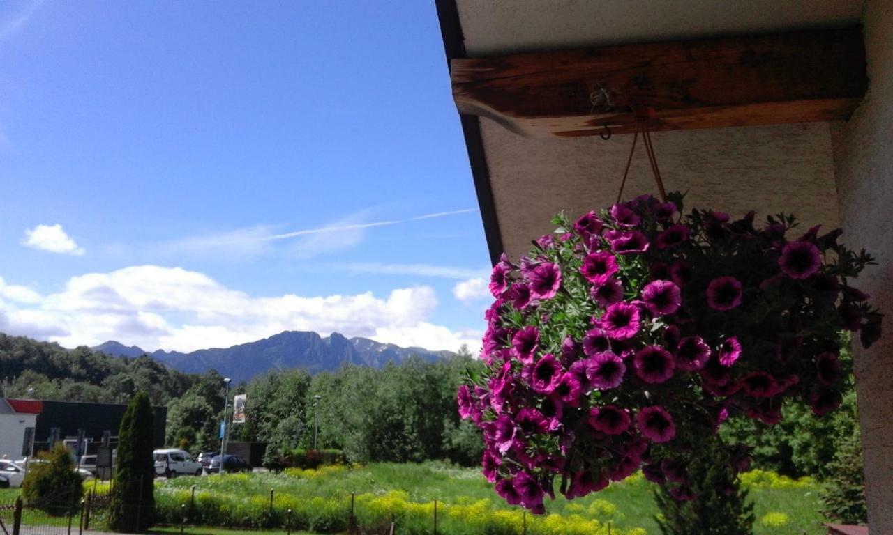 Pokoje Goscinne Agusia Zakopane Exteriör bild